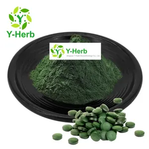 Bubuk Spirulina Chlorella bubuk makanan aditif hijau 50% 60% bubuk Spirulina klorella organik