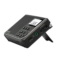 Radio Internet DSP 3 bandes AM/FM/SW avec écran LCD, fentes USB/SD, batterie rechargeable, modèle noir 6205, vente directe d'usine PANDA