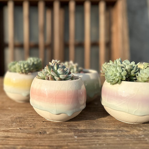 OEM/ODM Venta al por mayor Popular Maceta de cerámica para plantas suculentas con efecto craquelado, transpirable, pequeña, de porcelana artesanal, tipo jardín - Product Image 1