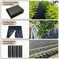 Zware PP PE geweven onkruidmat, UV-bestendig, doorlatend gronddoek voor groenteteelt, landbouw, boomgaard en planten.