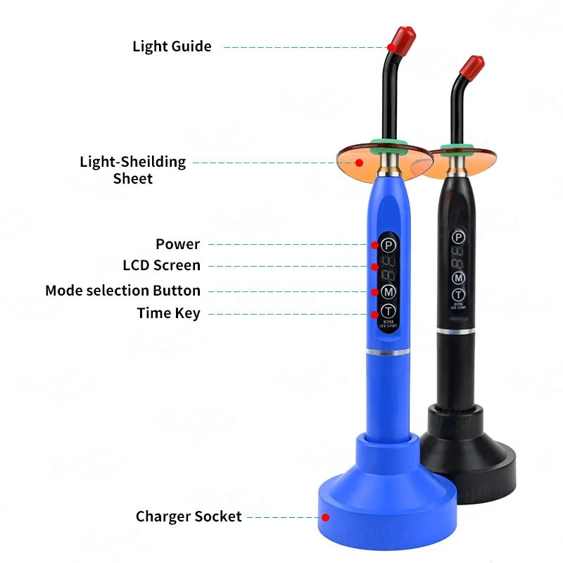 Dental Rainbow Wireless Curing Led Light Lamp with Strong Light 5 Colors for Choose