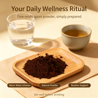 Poudre de spores de Reishi murale brisée, matière première naturelle de Ganoderma Lucidum pour complément alimentaire, approvisionnement en vrac