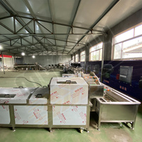Machine à frire les croustilles entièrement automatique avec coupe trancheuse