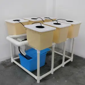 2020 beste Zimmer pflanzung Hydro ponic Dutch Bucket System für Salat