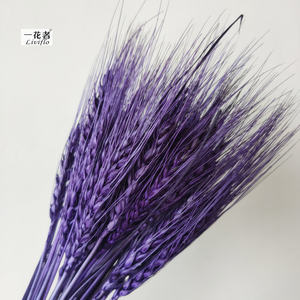 Decorazione piante essiccate secca di grano bouquet di <span class=keywords><strong>fiori</strong></span> <span class=keywords><strong>secchi</strong></span> - Product Image 5