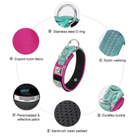 Collier pour chien Truelove de haute qualité, multifonctionnel, en nylon résistant, réglable, doux, réfléchissant, luxueux et tendance