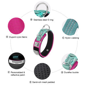 <span class=keywords><strong>Collar</strong></span> de Perro Truelove de Nailon Multifuncional de Alta Calidad, Resistente, Ajustable, Suave, Luminoso, Reflectante, de Lujo y de Moda para Mascotas - Product Image 2