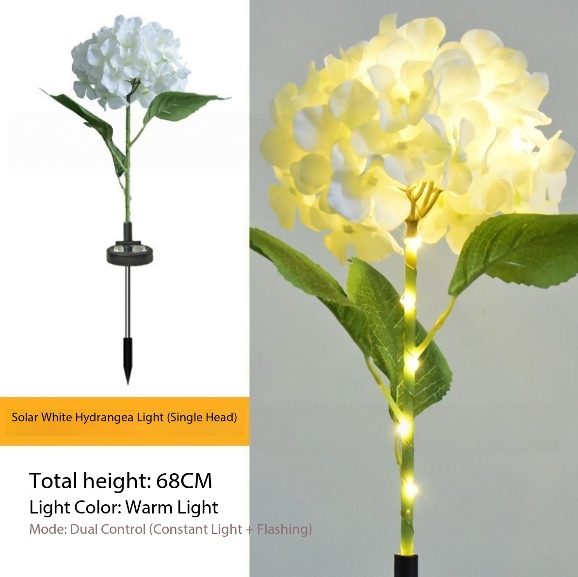 Hortensia blanca de una sola cabeza