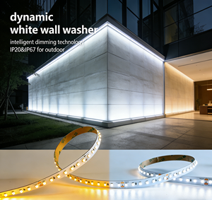 Blanco Ajustable 25 ° <span class=keywords><strong>Tira</strong></span> <span class=keywords><strong>de</strong></span> <span class=keywords><strong>LED</strong></span> con Lente Ra90 SMD3528, Luz Blanca Dinámica, DC24V, 40 <span class=keywords><strong>LED</strong></span>, Impermeable, para Uso en Fachadas Exteriores - Product Image 1