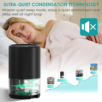 Mini sécheur d'air Portable Rechargeable, petit déshumidificateur à vendre 1L 350ML/D