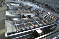 Commerciële industriële bubbelwas- en droogmachine voor fruit, avocado, mango, groenten en aardappelen
