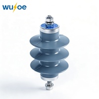 Parafoudre composite à oxyde de zinc HY5WS-10/30 6kV, parafoudre sans interstice à isolation polymère