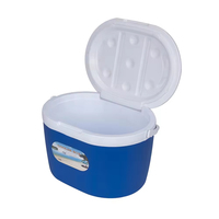 Ensemble de glacières en plastique personnalisées pour l'extérieur, 6L, 14L, 28L, glacières de voyage, pêche, qualité alimentaire, matériau PP, glacières à glace