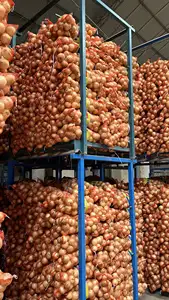 2023 New Crop Of Fresh Onions And Garlic Red And Yellow Onion White Price Per Ton In China Chinese Onion Fresh For Sale