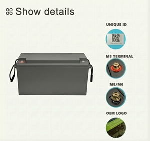Cargador de Coche LITHTECH Pack 200ah Lifepo4 12v-24v 100ah Dc 24v Ventilador Solar Sin Batería 24v-100ah 150ah Batería Lfp - Product Image 2