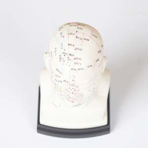 رئيس الوخز بالإبر نموذج 22 سنتيمتر رأس بشري الطب الصيني التدريس نقطة الوخز بالإبر نموذج - Product Image 5