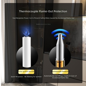 Estufa de Gas Empotrable de Doble Combustible con Placa de Inducción Integrada, 2 Quemadores de Gas y Eléctricos para Cocina Doméstica - Product Image 3
