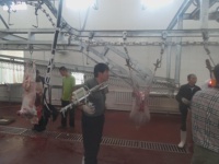 Cisaille hydraulique pour sabots de bovins (original: Allemagne) Fournisseur de haute qualité EME Production pour équipement d'abattoir de bovins Argent