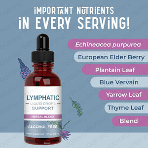 Vente chaude d'usine soutien immunitaire soutien lymphatique liquide gouttes supplément pour adulte - Product Image 5
