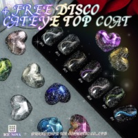 4 vernis gel magnétique effet œil de chat disco sans HEMA, standard UE/USA, gel réfléchissant effet œil de chat, vernis gel disco œil de chat OEM pour soirées