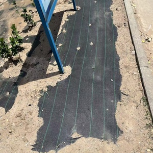 Telo Pacciamante Resistente Permeabile all'Acqua e Traspirante, Biodegradabile per Agricoltura, Frutteti e Giardini - Product Image 1