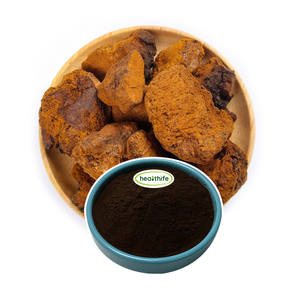 건강 천연 이노노투스 오블리쿠스 차가 버섯 추출물 10%-50% 다당류 - Product Image 2