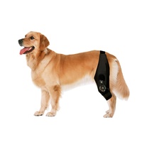 Médical réglable ROM charnière chien genouillère orthopédique confortable chien jambe commune soutien