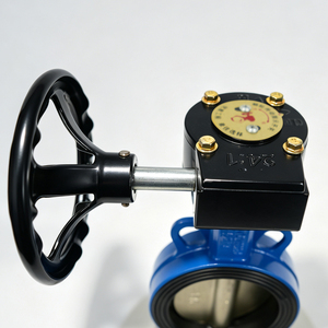 Vanne à vis sans fin manuelle en fonte ductile avec disque en acier inoxydable et siège en EPDM, PN16 DN65, pour le contrôle de l'eau et du gaz - Product Image 2