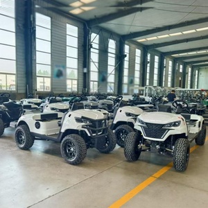 Voiture électrique en gros 4x4, voiturette de <span class=keywords><strong>golf</strong></span> 4x4, 3,<span class=keywords><strong>5</strong></span> kW, 4 kW, <span class=keywords><strong>5</strong></span> kW, véhicule électrique à quatre roues pour la maison, voiturette de <span class=keywords><strong>golf</strong></span> avec <span class=keywords><strong>amortisseur</strong></span> - Product Image 5