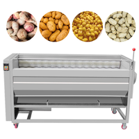Commerciële fruit- en groentewasmachine 2000kg/uur Bubbelborstelwasser Groentewasmachine voor voedselverwerkingsbedrijven