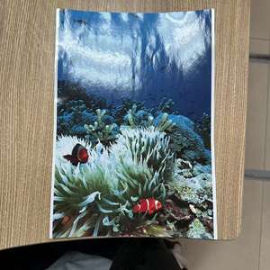 Papier photo couché de qualité supérieure, brillant, 100% pâte vierge, papier cartonné C2S, papier photo brillant mat - Product Image 2