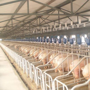 Capannone di maiale con struttura in acciaio - Product Image 2