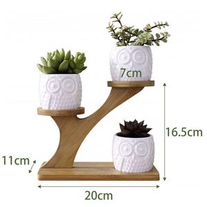 Pequeño Soporte de Bambú Moderno de 3 Niveles para Plantas, Estante para Ventana, Soporte para Flores, Regalo para Amantes del Jardín, Balcón o Patio - Product Image 5