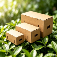Cajas de Fruta de Color Natural, de Alta Calidad y Bellamente Elaboradas, Cajas de Regalo de Fruta Personalizadas