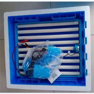 Mini64 अंडे स्वत: माइक्रो कंप्यूटर के लिए चिकन अंडे इनक्यूबेटर और हैचर बिक्री तुर्की सफेद स्टील पक्षी बतख शुतुरमुर्ग प्लेट भागों - Product Image 2