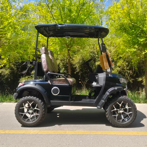 <span class=keywords><strong>Voiturette</strong></span> de golf tout-terrain entièrement personnalisée pour 2 passagers, homologuée pour les routes pavées et les chemins en terre battue - Product Image 5