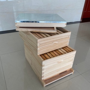 Colmena Langstroth de 2 Niveles a Precio de Fábrica - Equipo de Apicultura de Madera, Venta Caliente 2025, Colmena al por Mayor - Product Image 4