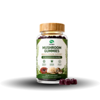 Gummies Complexe de Champignons 10-en-1 Végétaliennes Saveur Baies, Complément Alimentaire, Marque Privée OEM, pour la Concentration Cérébrale et le Bien-être Immunitaire (Vente en Gros)