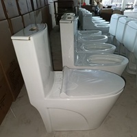 Articles sanitaires de salle de bains modernes Toilettes à chasse d'eau en céramique S-trap 250mm Usine directe pour l'exportation