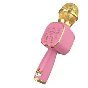 私人无线USB麦克风专业电容卡拉ok麦克风支架收音机mikrofon工作室