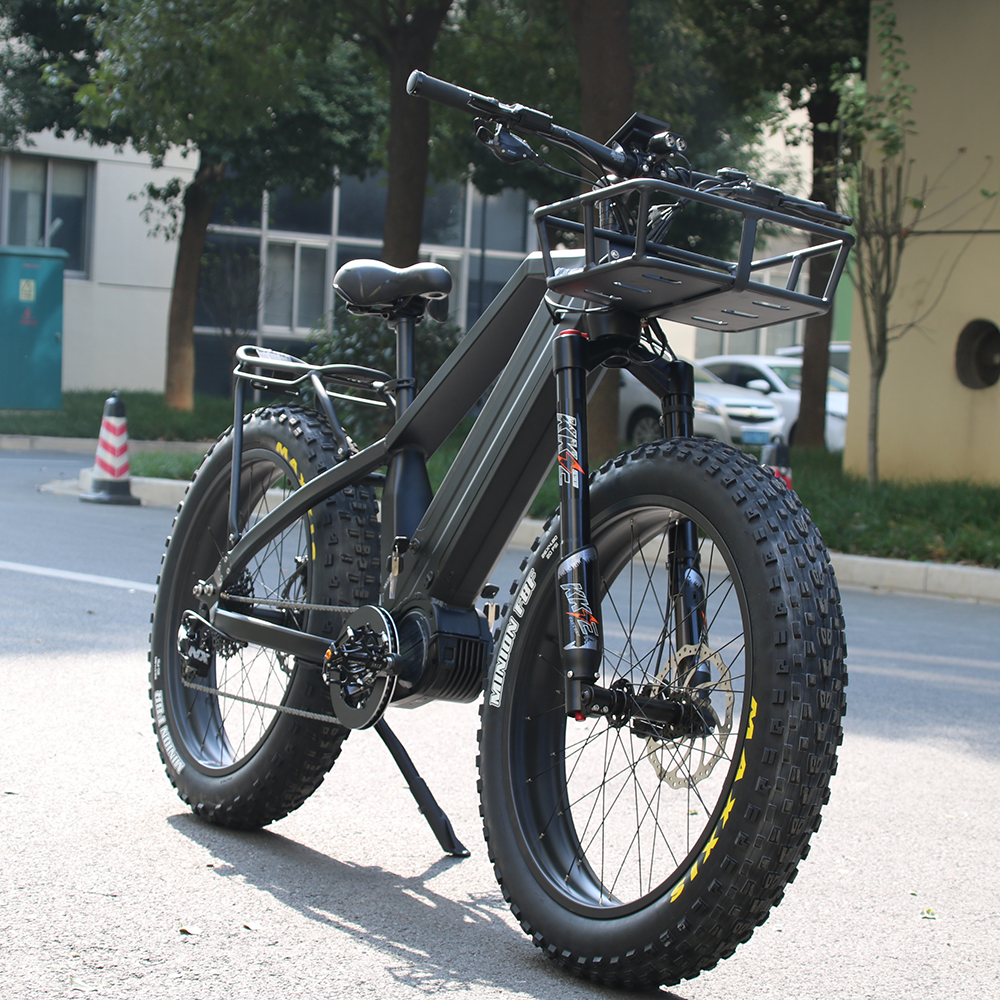 胖胎e自行车双电池48v 1000w bafang mid drive ebike电动自行车雪地
