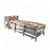 Automatische ozonbel-staalmotorpomp voor wasmachines met hoge capaciteit voor de verwerking van champignons, schimmels, fruit, groenten en voedsel in fabrieken