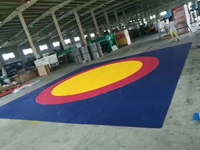 Tapis de lutte antidérapants de 6 cm d'épaisseur 2025, 1m*2m pour l'entraînement au Taekwondo et aux arts martiaux
