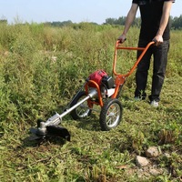 Nouvelle machine agricole professionnelle 2025 : Cultivateur et désherbeur à doigts