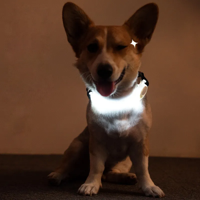 Pet luminous cycling night running warning light pet LED traction rope luminous collar traction dog rope strap