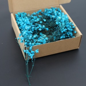 <span class=keywords><strong>Flores</strong></span> de Gypsophila Preservadas 50g Venta <span class=keywords><strong>al</strong></span> <span class=keywords><strong>por</strong></span> <span class=keywords><strong>Mayor</strong></span> de Fábrica <span class=keywords><strong>Flores</strong></span> <span class=keywords><strong>Secas</strong></span> Naturales Ramo de <span class=keywords><strong>Flores</strong></span> de Aliento de Bebé - Product Image 5