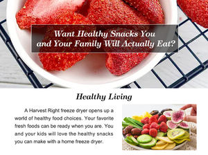 LG-Series Moteur PLC de lyophilisateur alimentaire personnalisable Haute efficacité de transfert de chaleur Nouveau SUS316L Réfrigérant mixte 50-2000kg/lot - Product Image 6