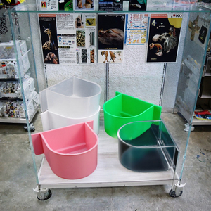 Mangeoire suspendue en plastique pour oiseaux, boîte à nourriture, abreuvoir pour Myna, Budgie, Parakeet, Canaris, Pinson, Fournitures pour oiseaux - Product Image 2