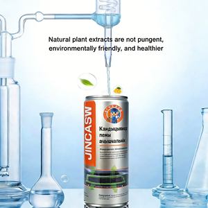 Sistemas de <span class=keywords><strong>Aire</strong></span> <span class=keywords><strong>Acondicionado</strong></span> para Automóviles, Filtro de <span class=keywords><strong>Aire</strong></span> <span class=keywords><strong>Acondicionado</strong></span> para Automóviles de 450 ml, Agente de Limpieza en Aerosol - Product Image 2