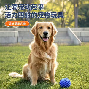 Honeycomb <b>Ball</b> <b>Dog</b> Toy Rubber Squeaky Interactive Pet Play Indoor Blue Orange Size Small Large - Product Image 2